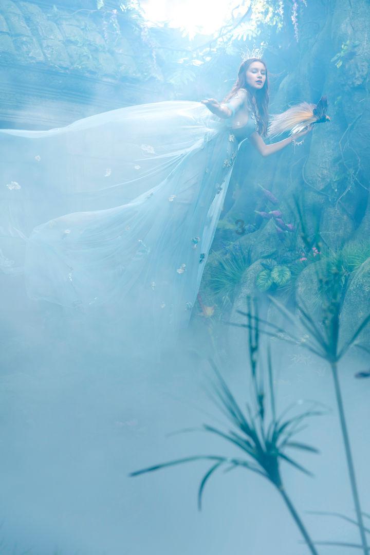 蜜蜂救援